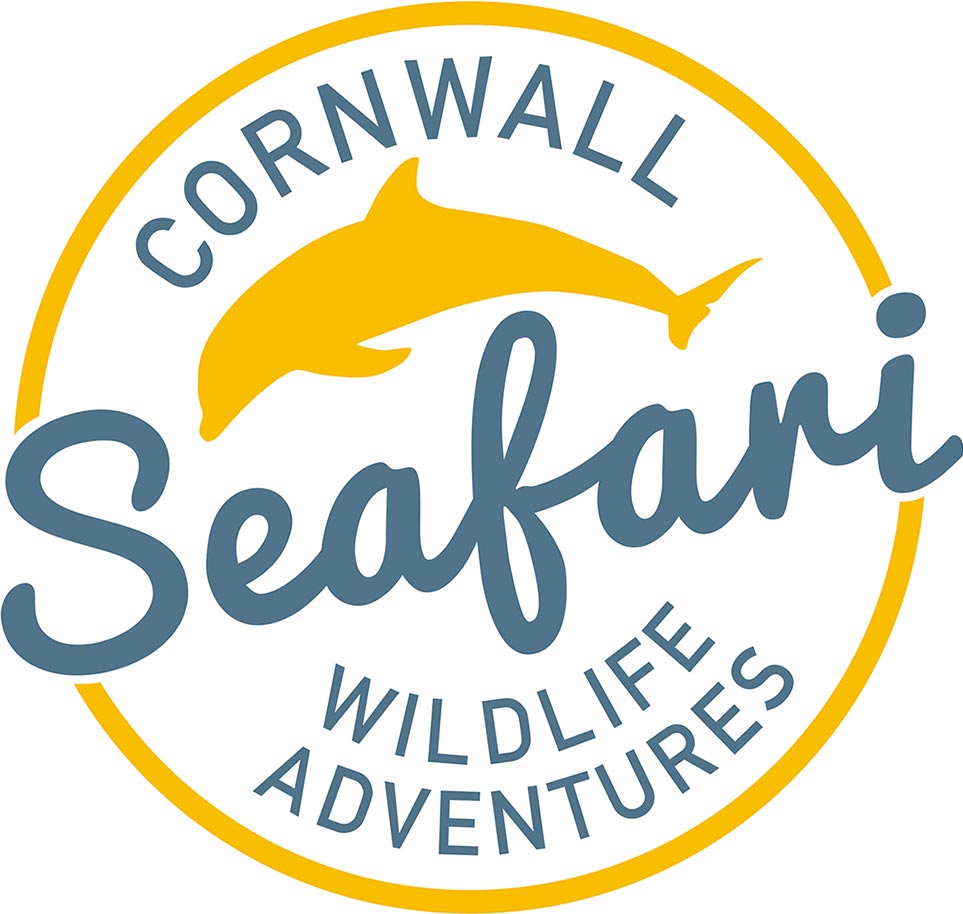 Sea Safari Cornwall